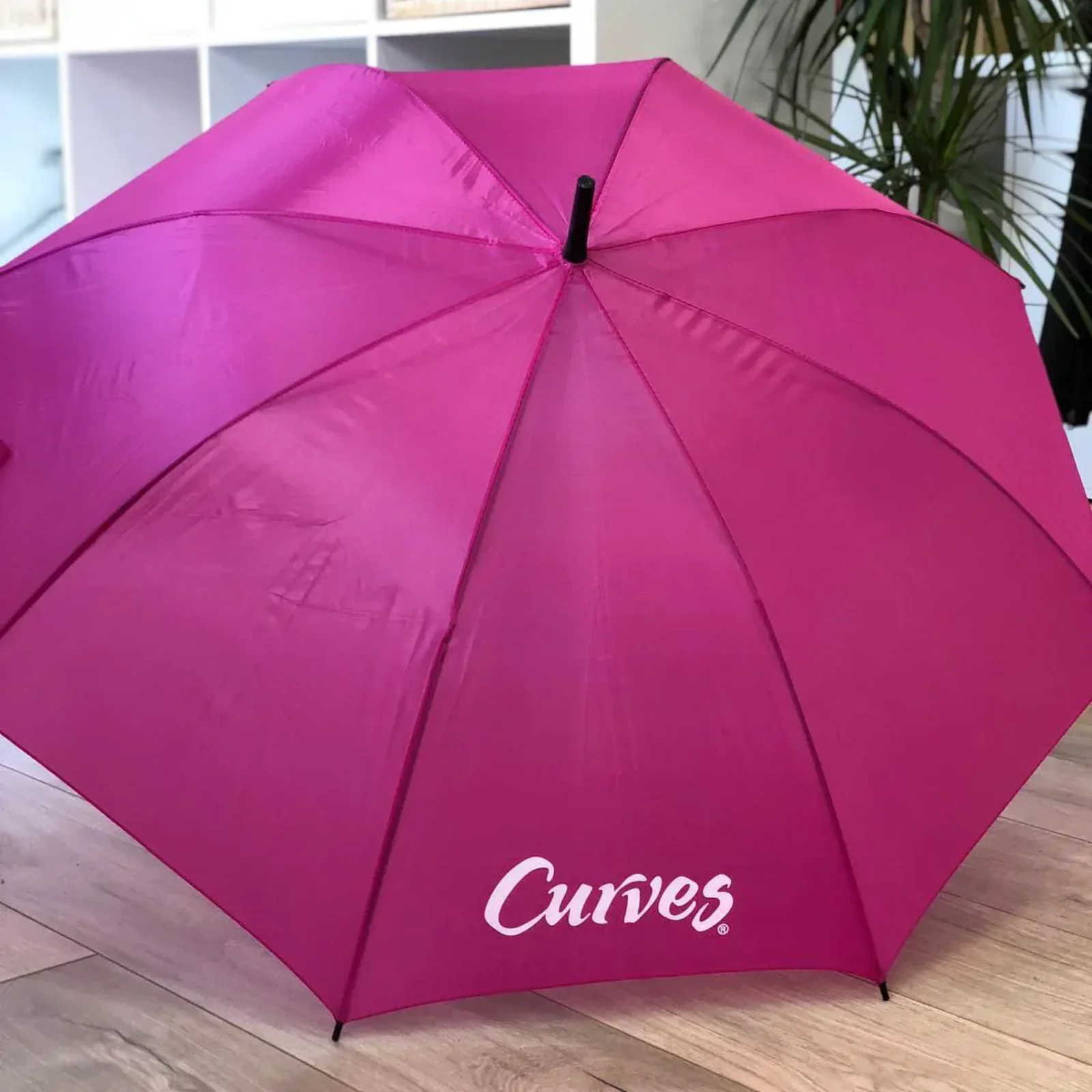 Curves — proyecto Crearts (4)