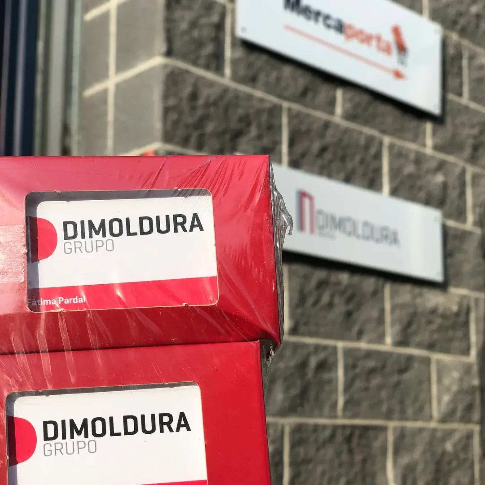 Grupo Dimoldura — proyecto Crearts (2)