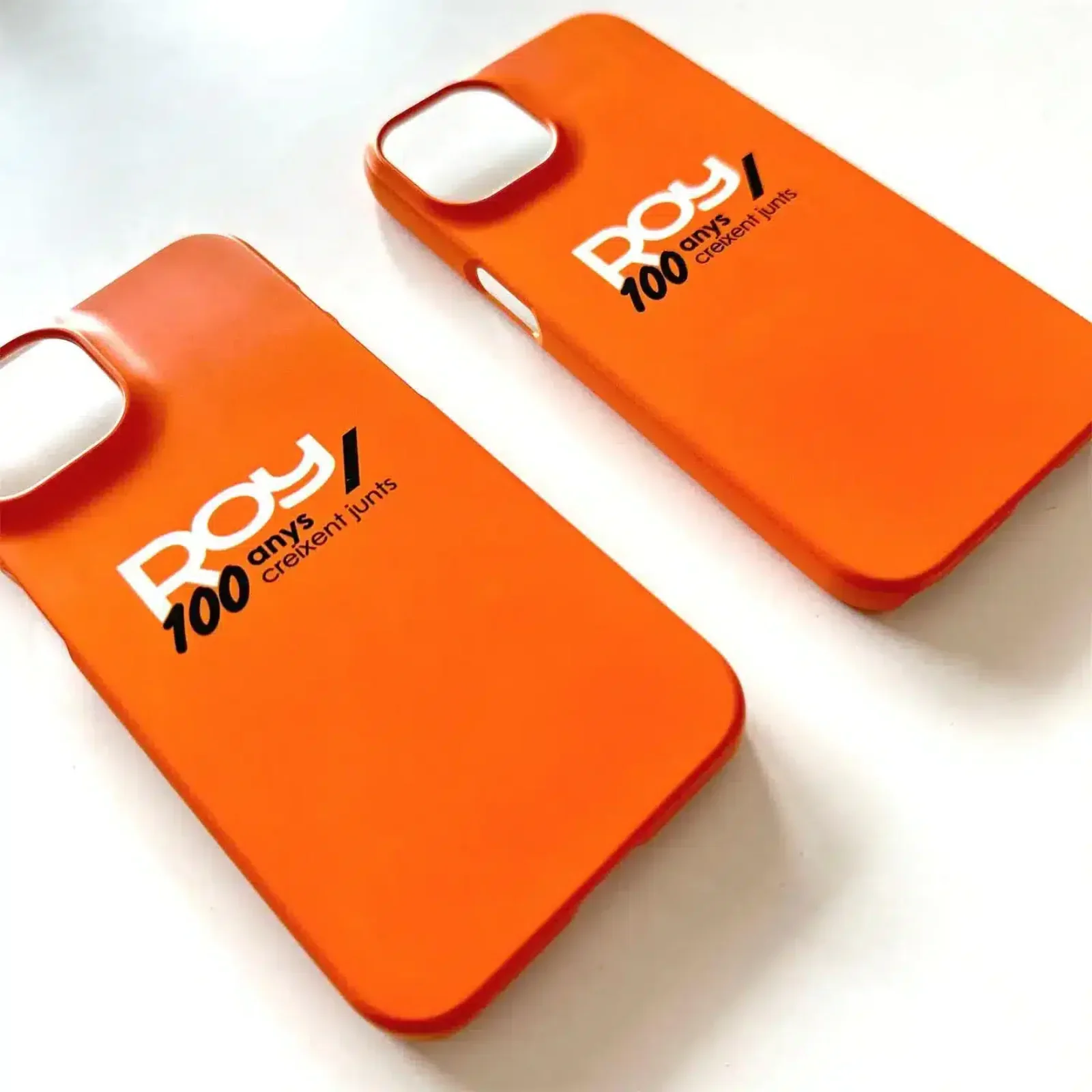 Roy Assessors — proyecto Crearts (3)