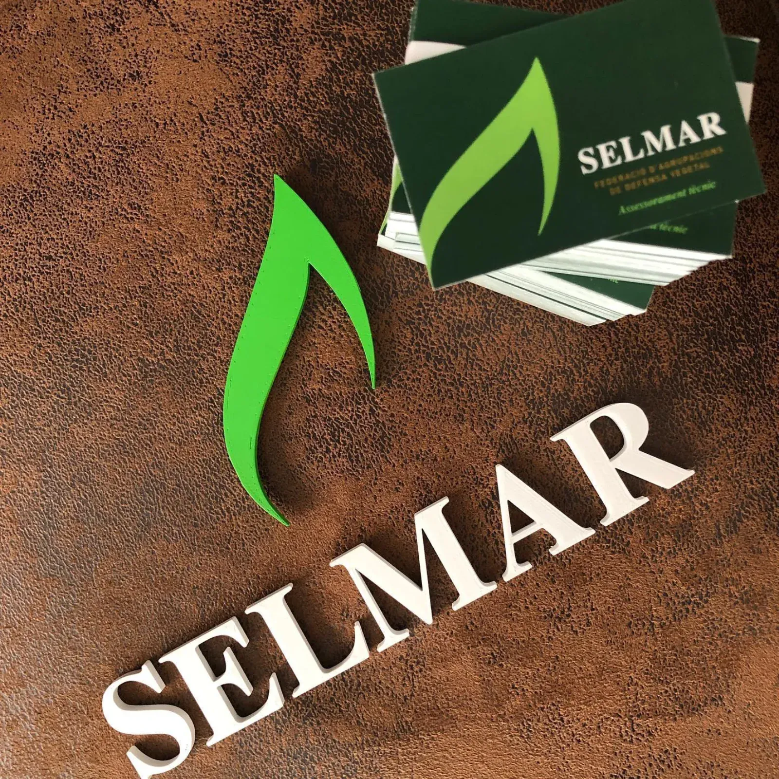 Federació Selmar — proyecto Crearts