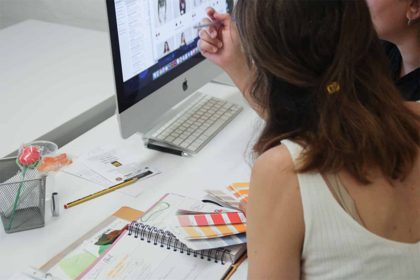 Disseny web i botigues online professionals